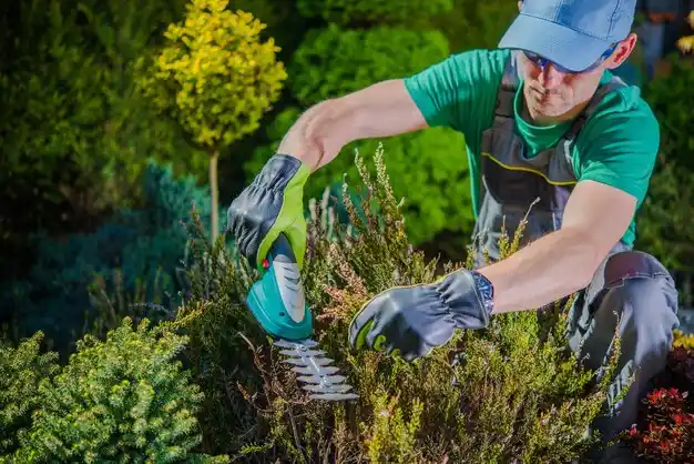 landscaping services Loch Lloyd